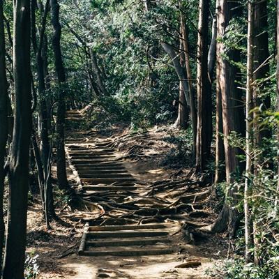 全过程人民民主的创新举措 “领导留言板”写入白皮书获各界积极评价